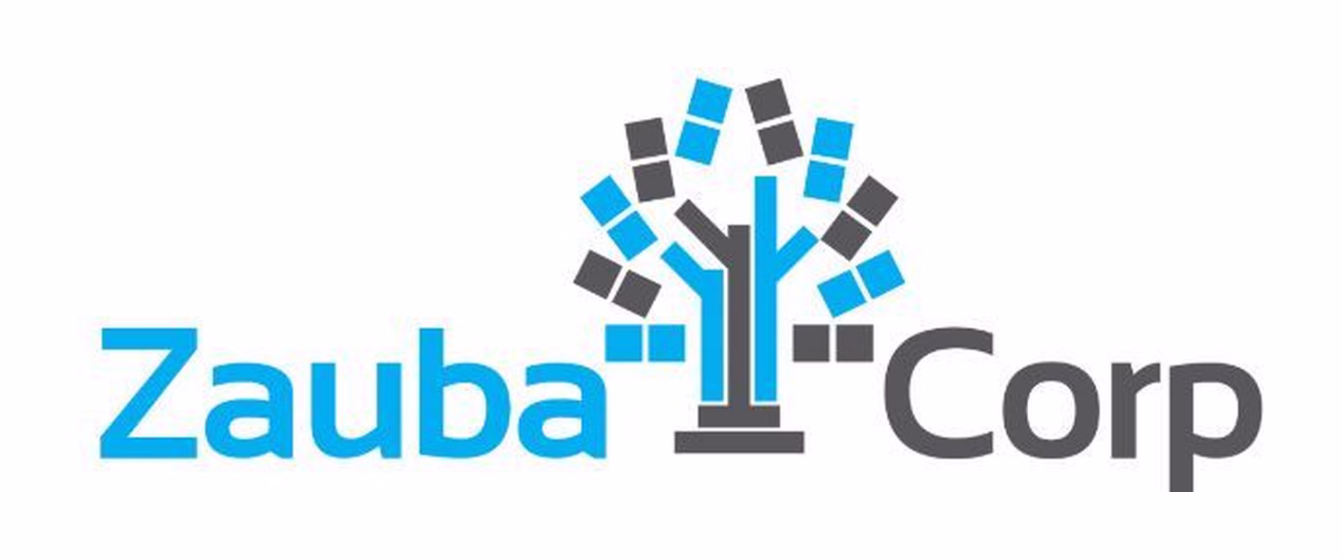 Zauba Corp