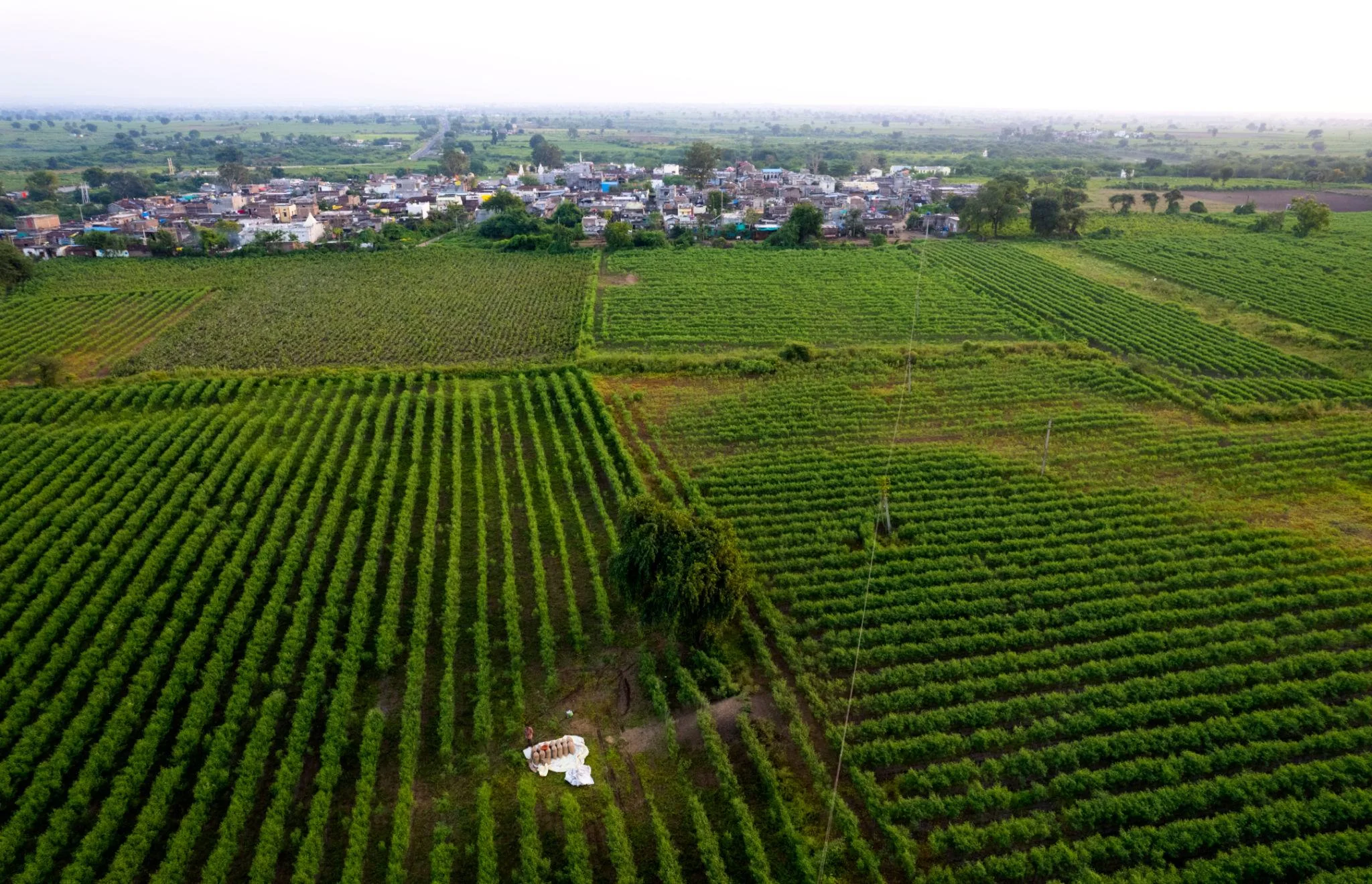 Why Agricultural Land Near Naya Raipur is Emerging as a Smart Investment Choice in 2026