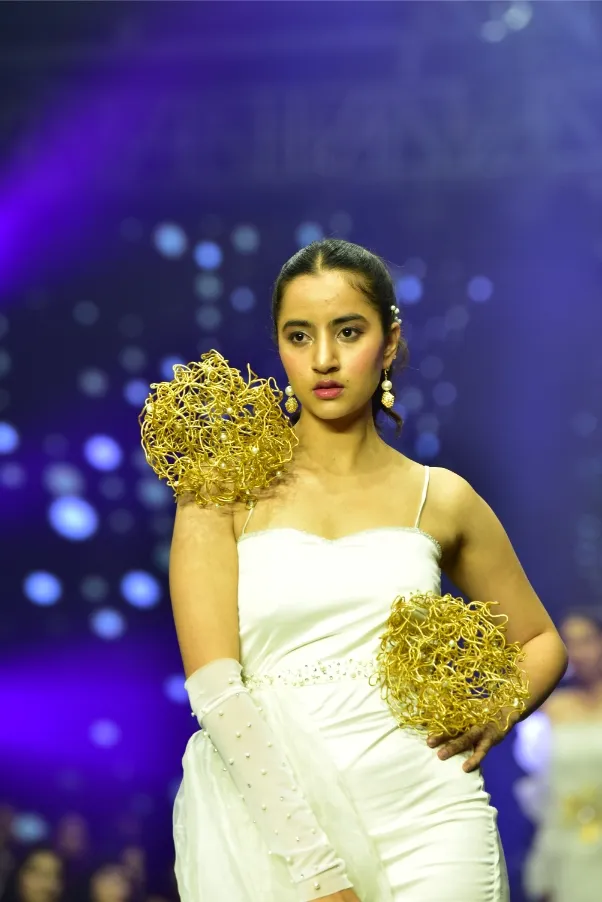 Experiences WIth INSD Raipur