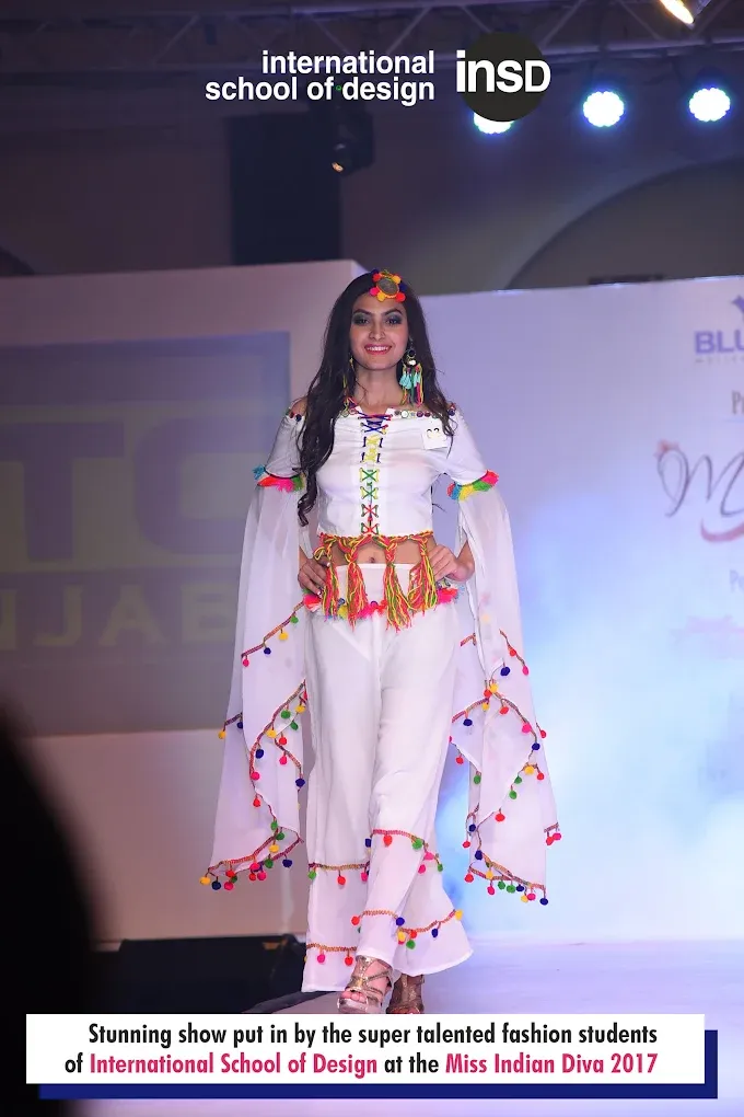 Experiences WIth INSD Raipur