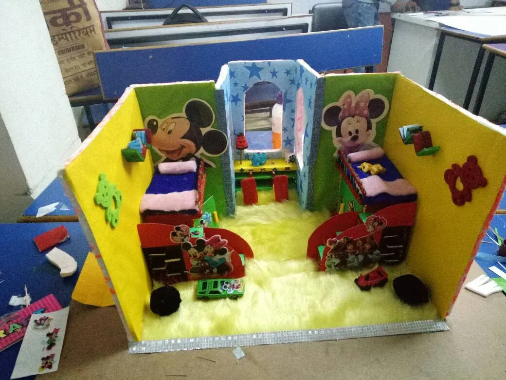 Experiences WIth INSD Raipur