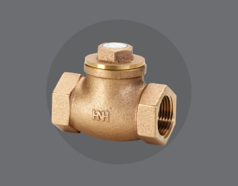 Check Valve (NRV)
